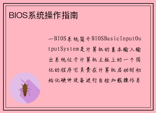 BIOS系统操作指南