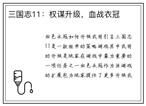 三国志11：权谋升级，血战衣冠